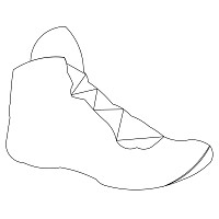 wrestling shoe